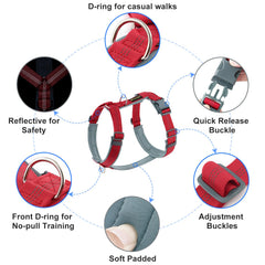 Back view of Plutus Pet No Pull harness highlights sturdy hardware for reliability