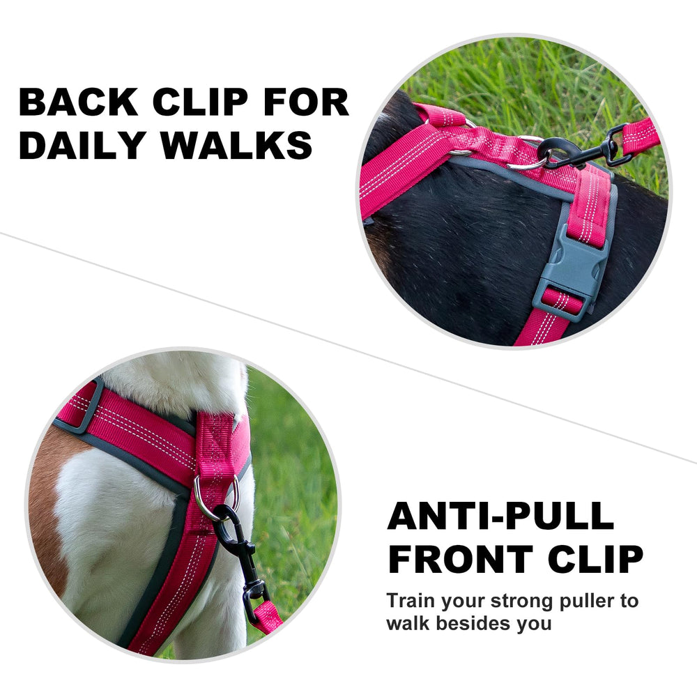 Plutus Pet No Pull Harness quick-release buckles allow easy on/off.