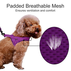 Plutus Pet No Pull Harness chest D-ring helps curb pulling during training sessions.