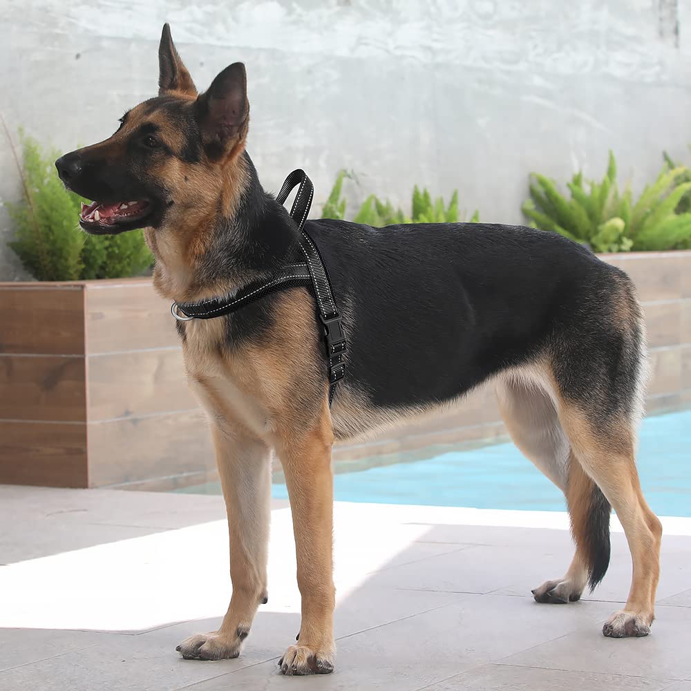 Plutus Pet No Pull harness easy on and off step in design for quick fitting.