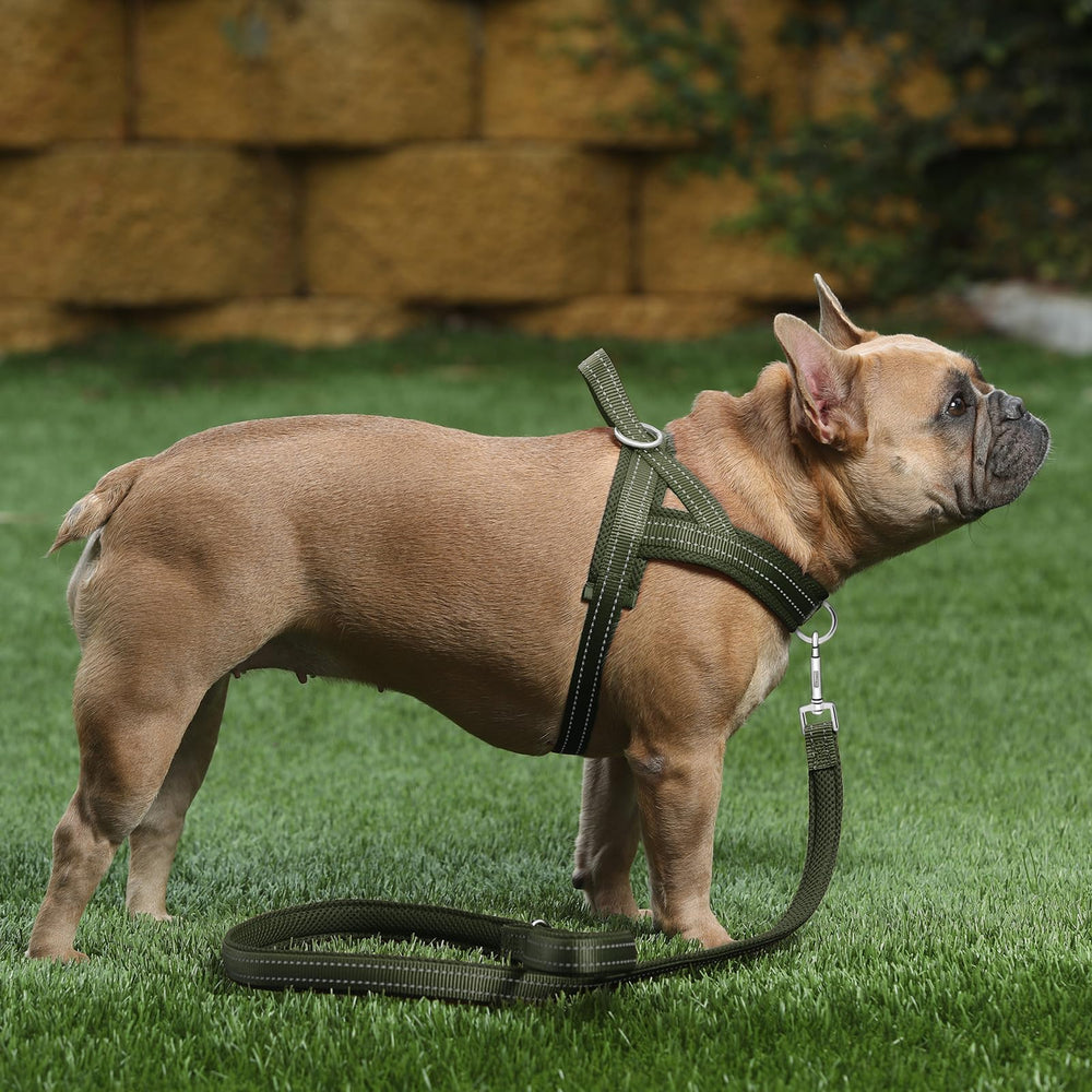 PLUTUS PET No Pull Harness heavy-duty nylon straps for lasting durability.