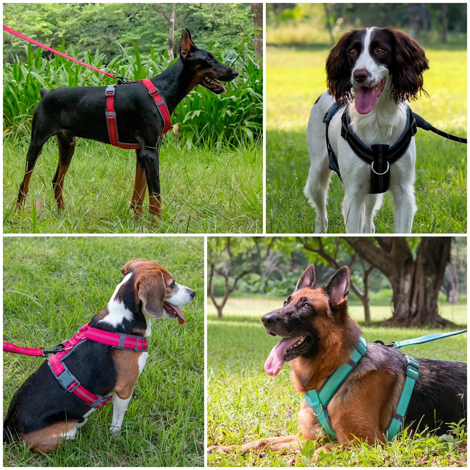 Plutus Pet No Pull Harness nylon-strap design preserves dog movement.