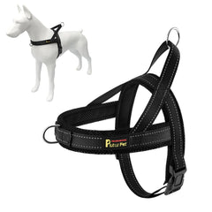 Plutus Pet No Pull harness on a dog during a calm walk for safer control