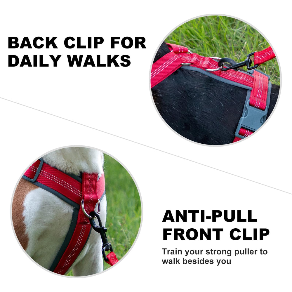 Soft padding closeup emphasizes comfort and chafe prevention during long walks
