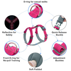 Plutus Pet No Pull Harness with soft padding provides comfortable daily wear.