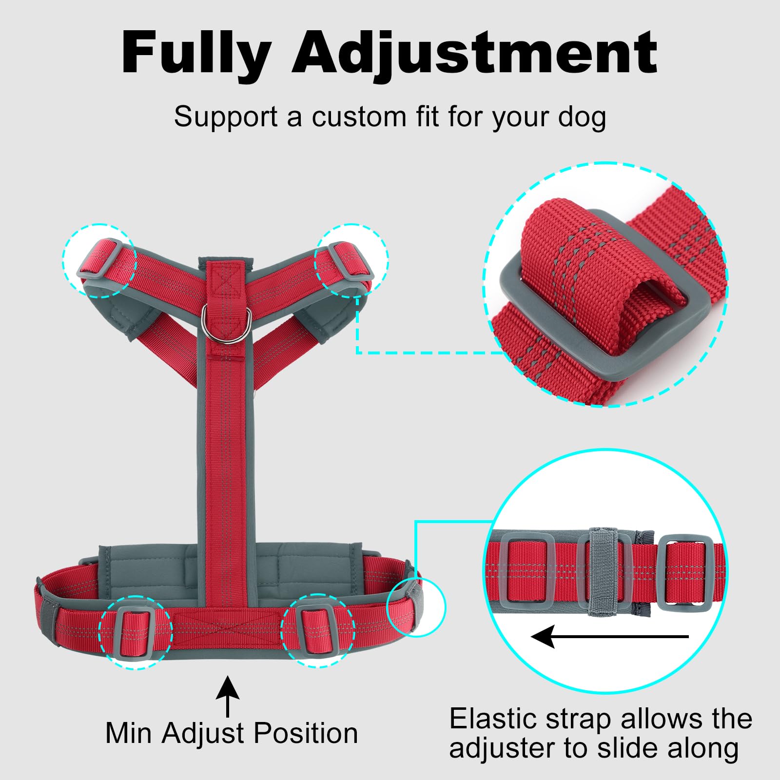 Walking scene with the Plutus Pet No Pull harness showing natural movement