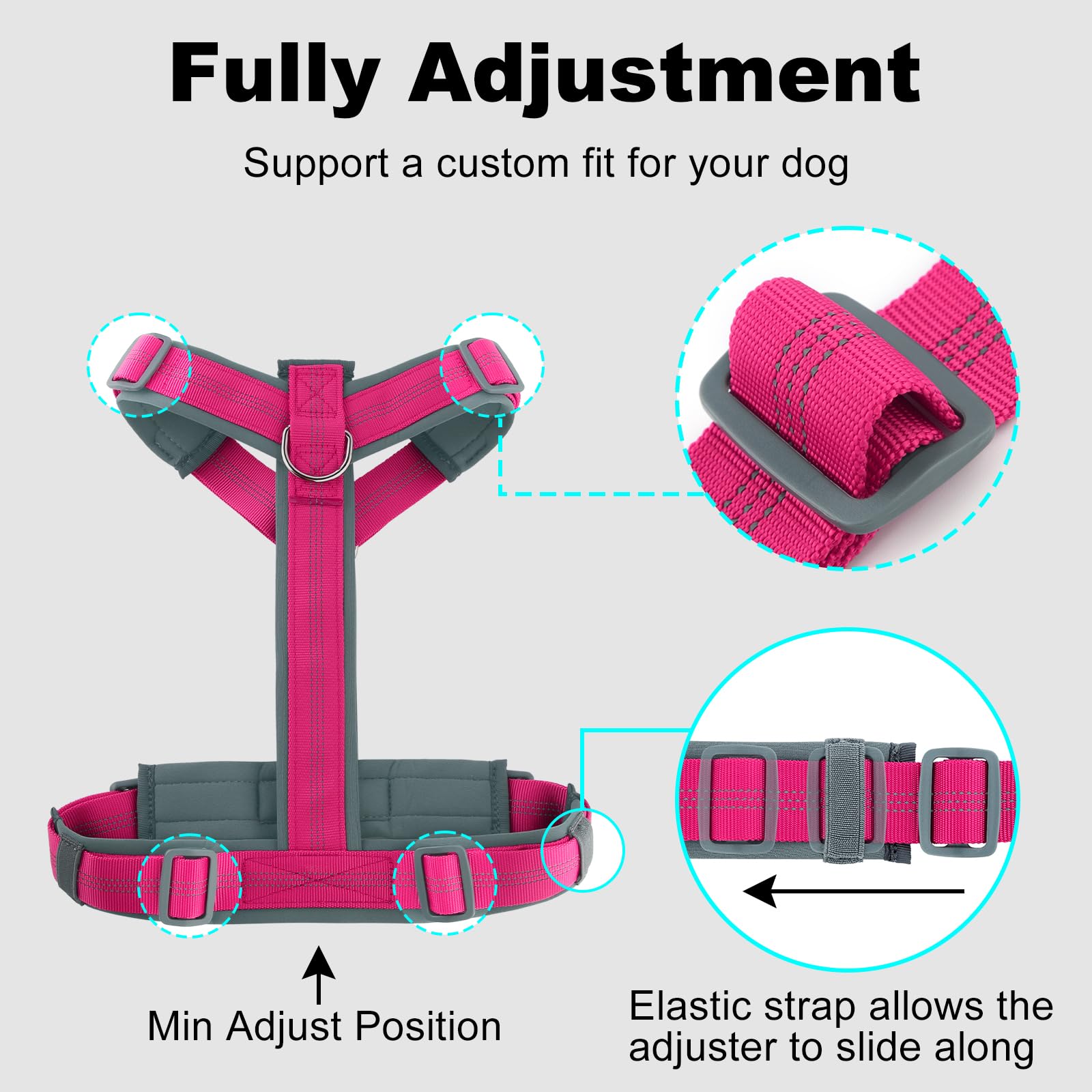 Plutus Pet No Pull Harness supports daily comfort for growing dogs.