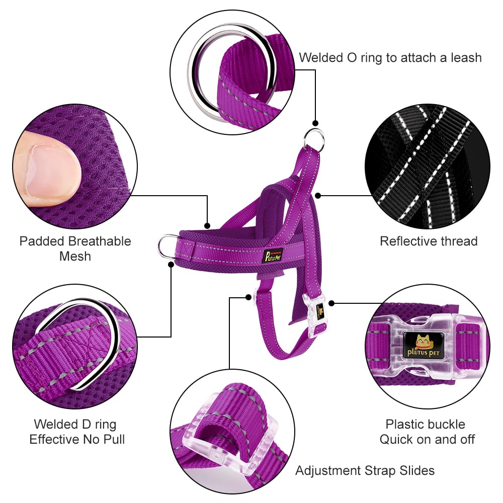 Plutus Pet quick-fit design enables easy on and off during busy days