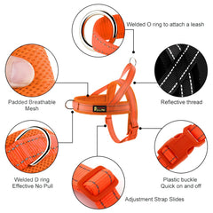 PLUTUS PET Quick Fit harness demonstrates easy on/off design.