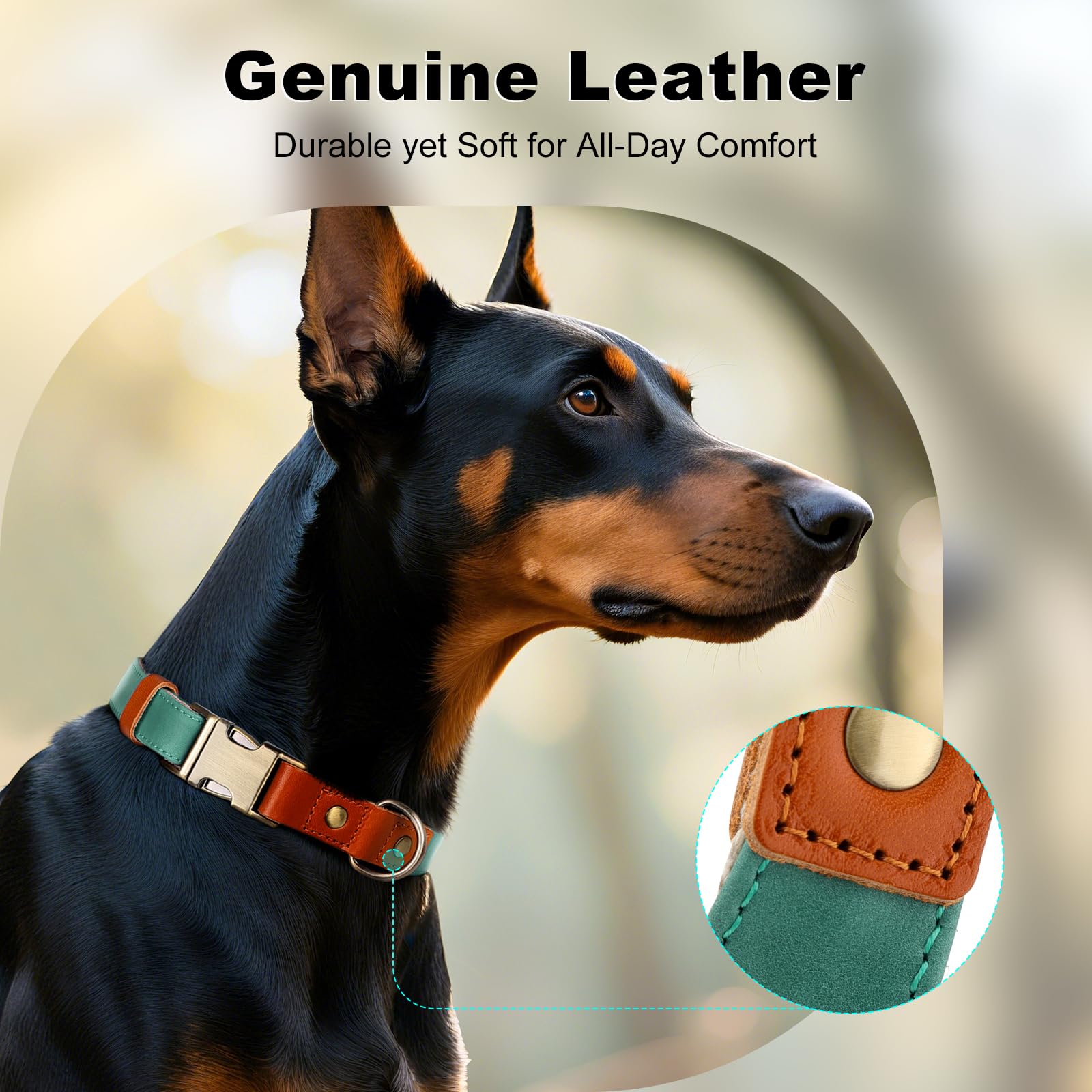 Plutus Pet quick-release metal buckle collar for easy on and off