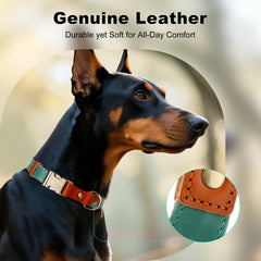 Plutus Pet quick-release metal buckle collar for easy on and off
