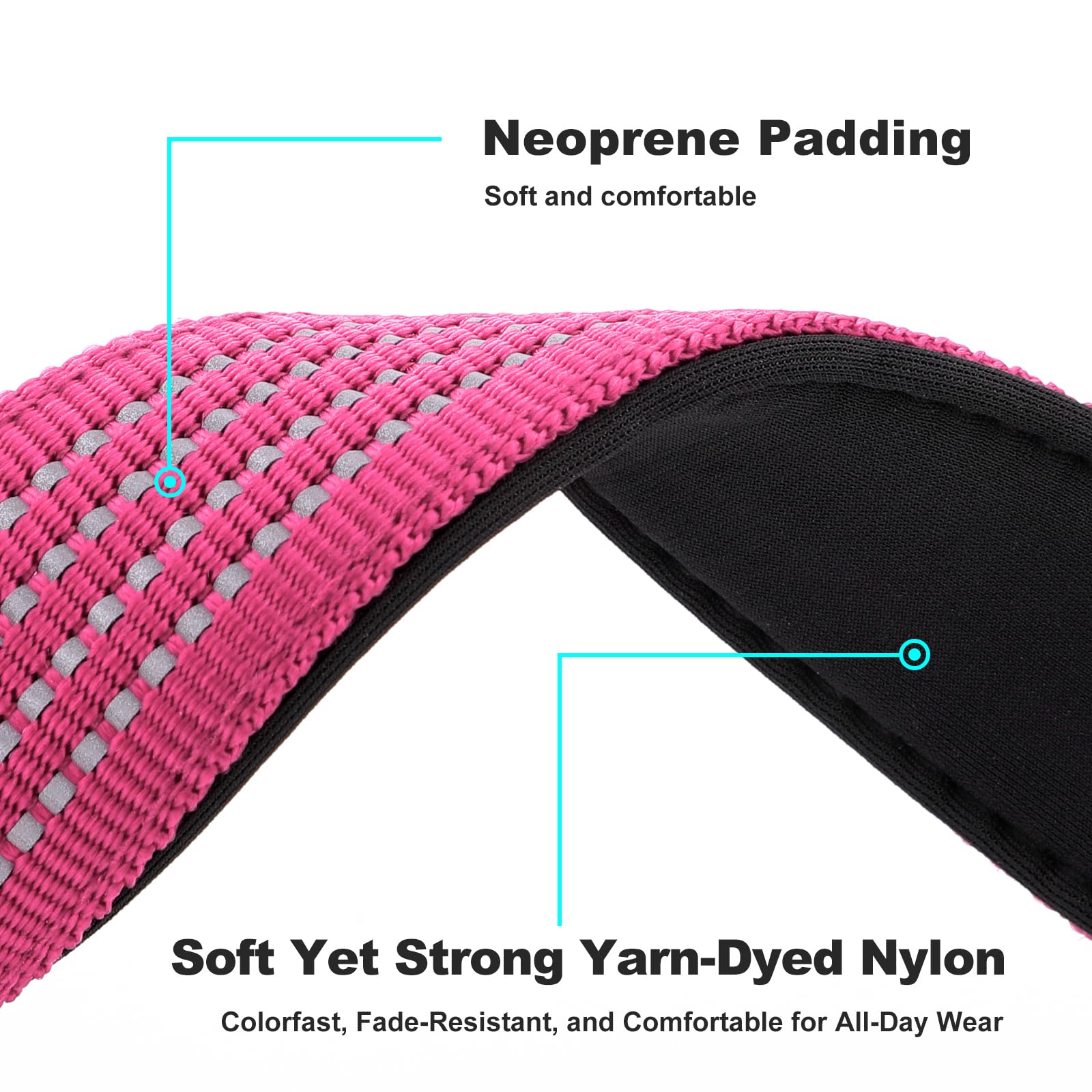 Plutus Pet collar featuring reflective stitching for night visibility