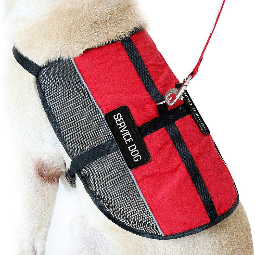 PLUTUS PET vest with reflective stripes enhances night-time safety.