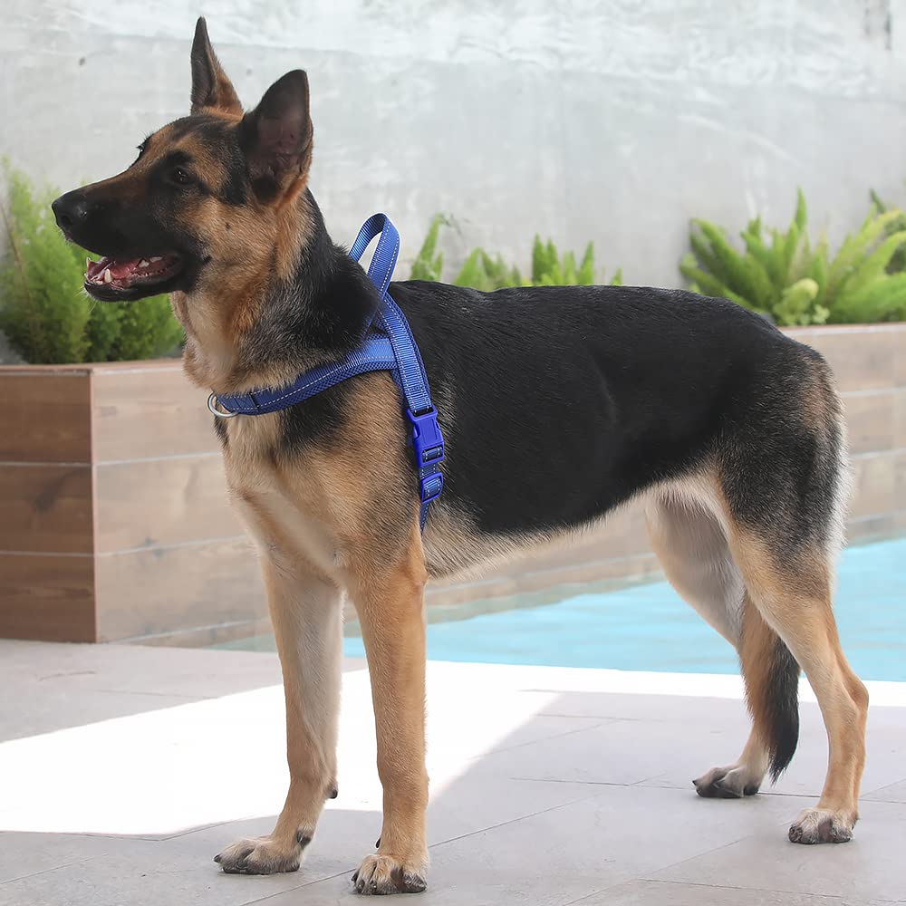 Plutus Pet reflective safety thread increases visibility at night