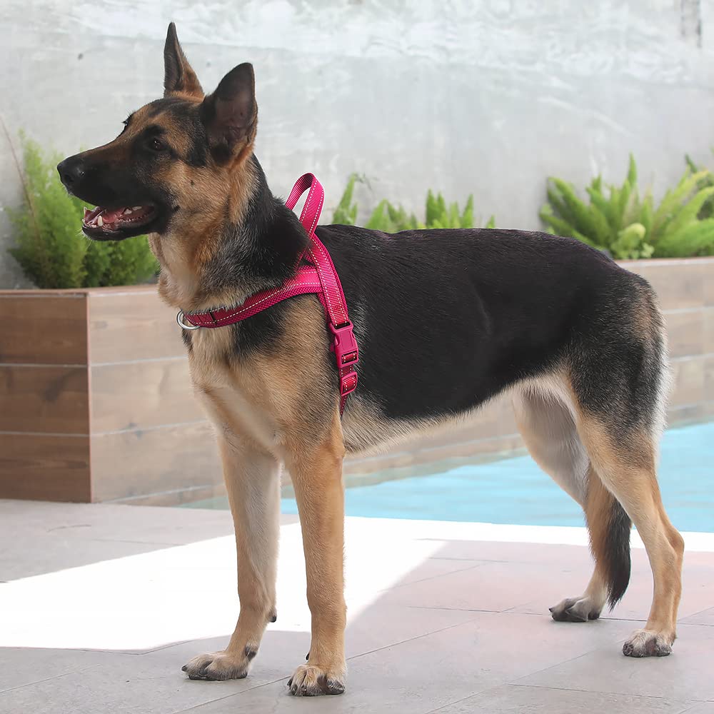 PLUTUS PET Reflective thread boosts night visibility on pink XL harness.