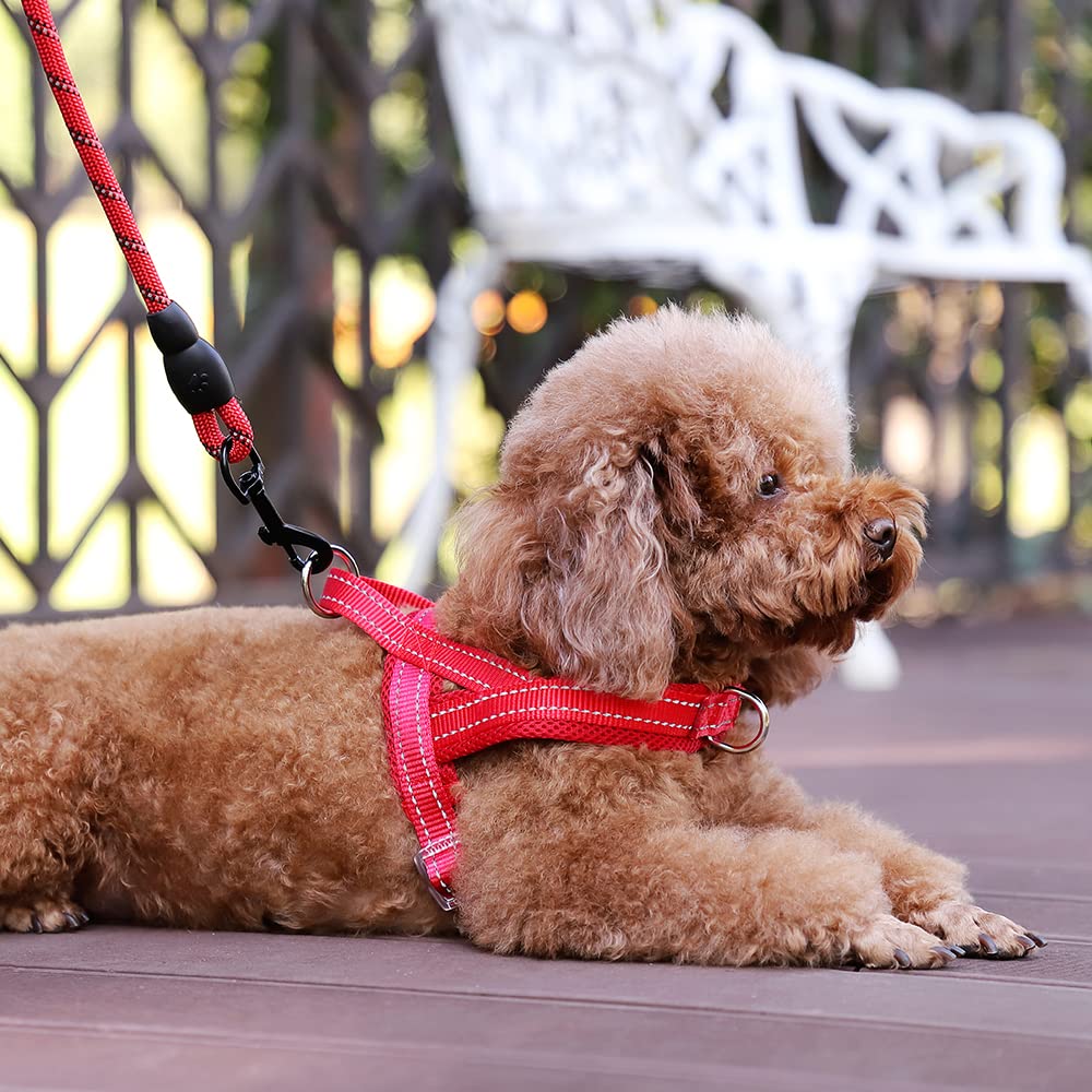 Plutus Pet reflective thread increases visibility for safe night walks