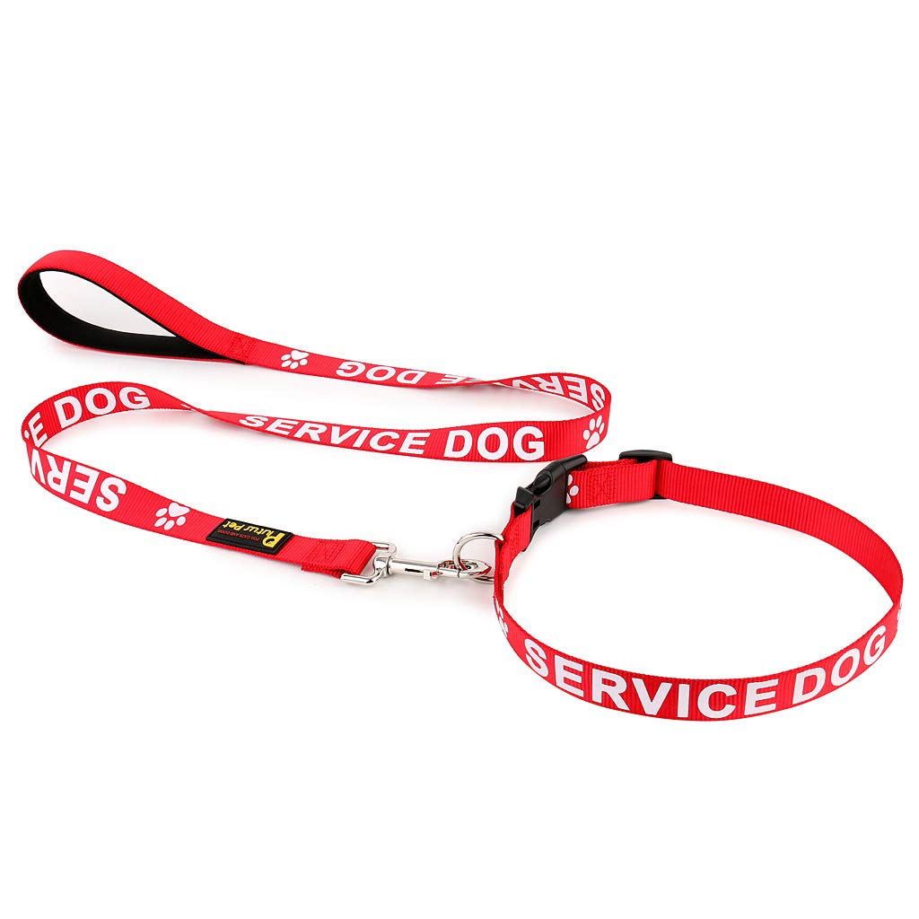Plutus Pet durable nylon leash with sturdy clip for long-lasting use.