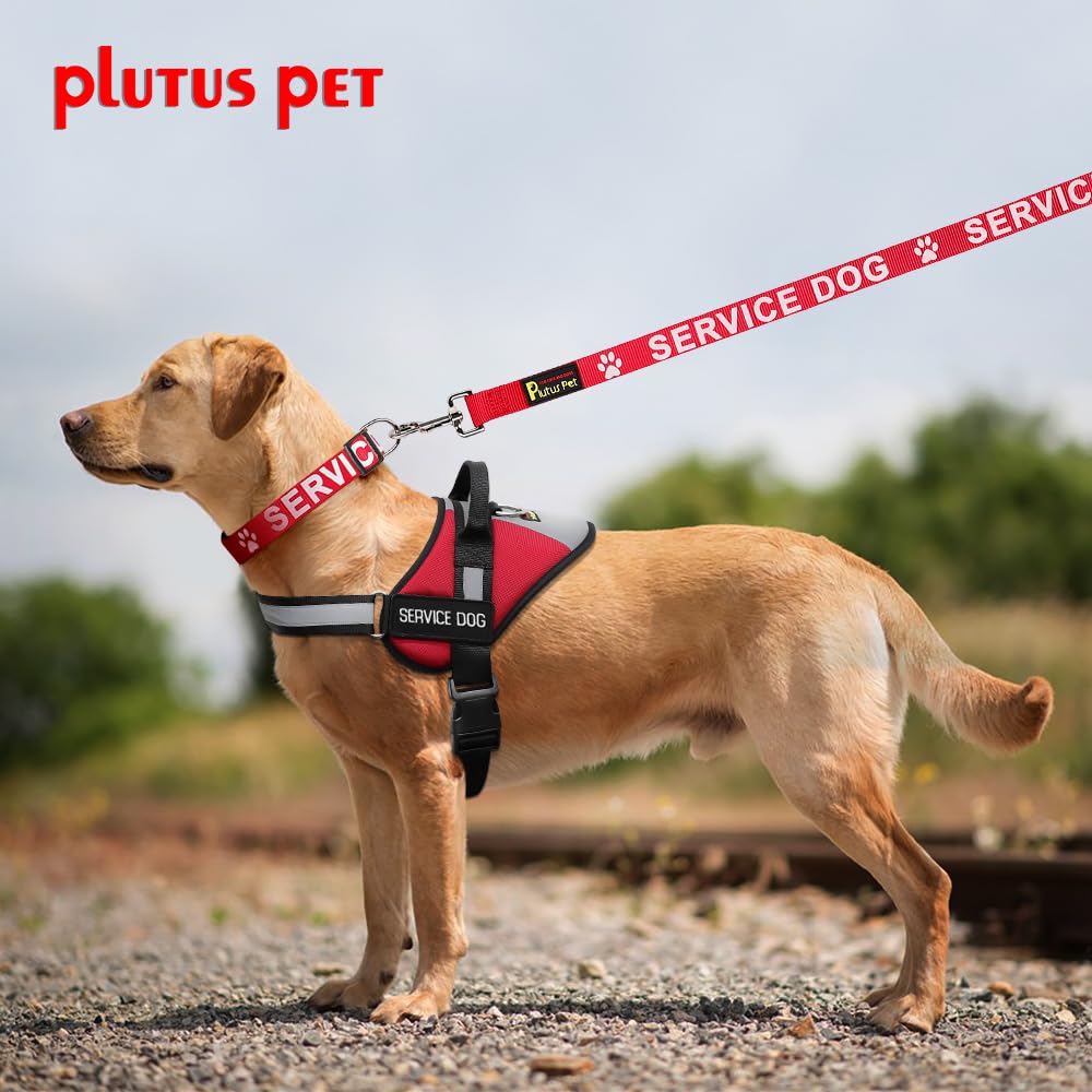 Plutus Pet four-foot leash suits large dogs for reliable control.