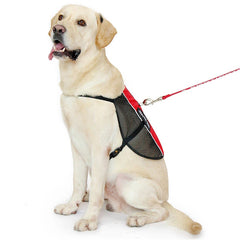 PLUTUS PET service dog vest features breathable mesh to keep dogs cooler in heat.