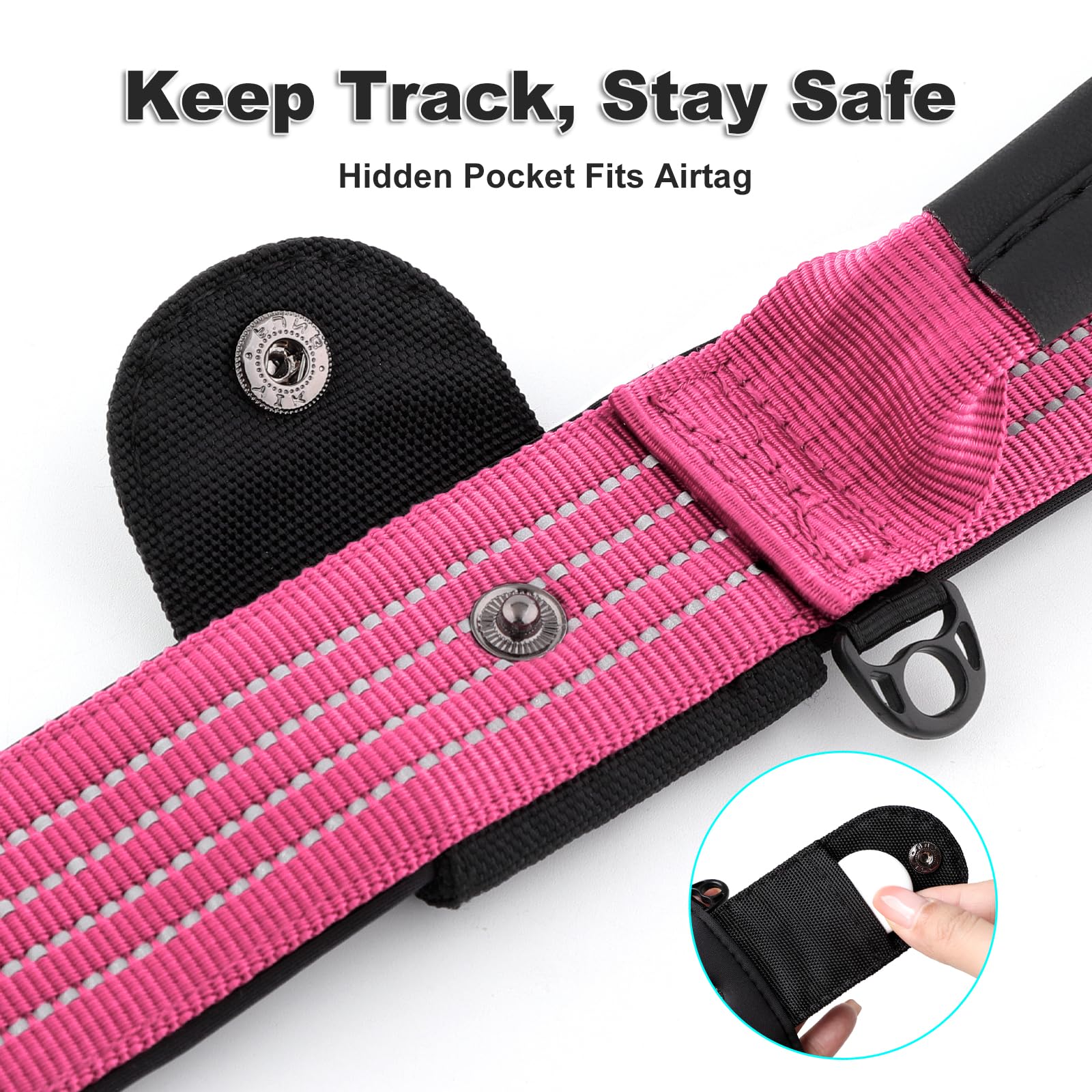 Plutus Pet nylon collar with soft neoprene padding for enhanced comfort