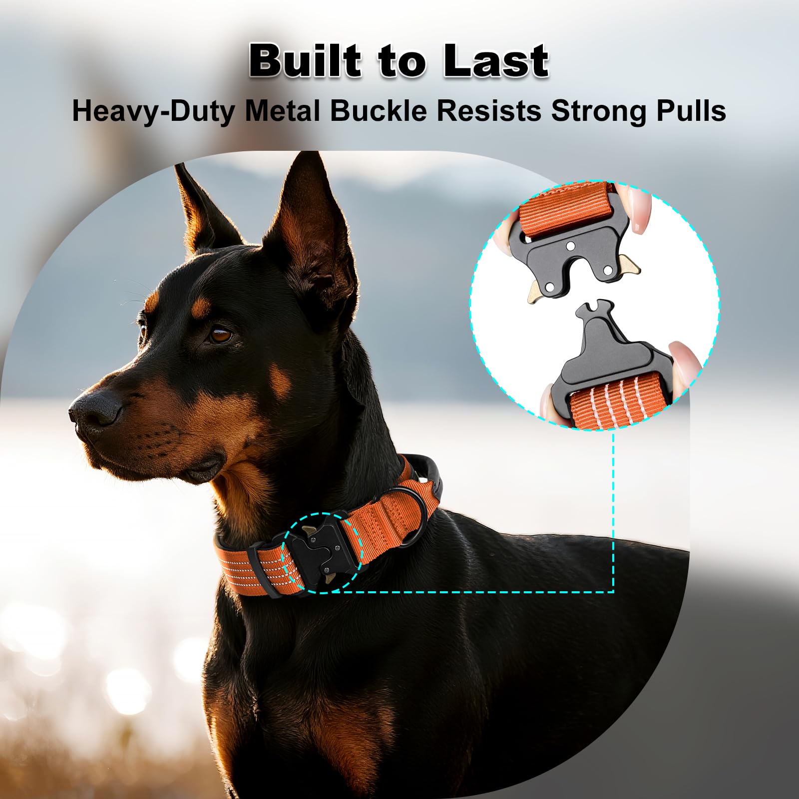 Plutus Pet tactical collar with sturdy metal buckle for secure daily use.