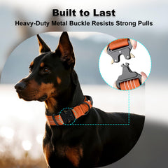 Plutus Pet tactical collar with sturdy metal buckle for secure daily use.
