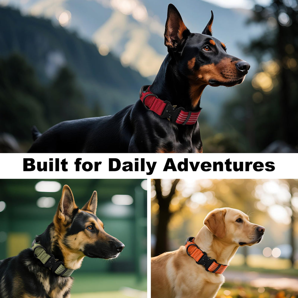 Plutus Pet tactical collar orange color, size M, ideal for medium to large dogs.
