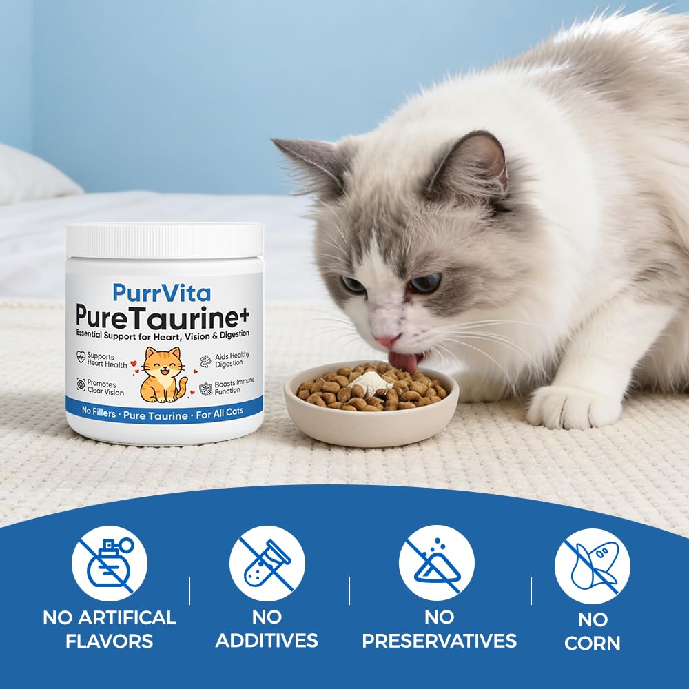 PLYNXE PurrVita Taurine cat portrait beside meal suggesting daily supplementation