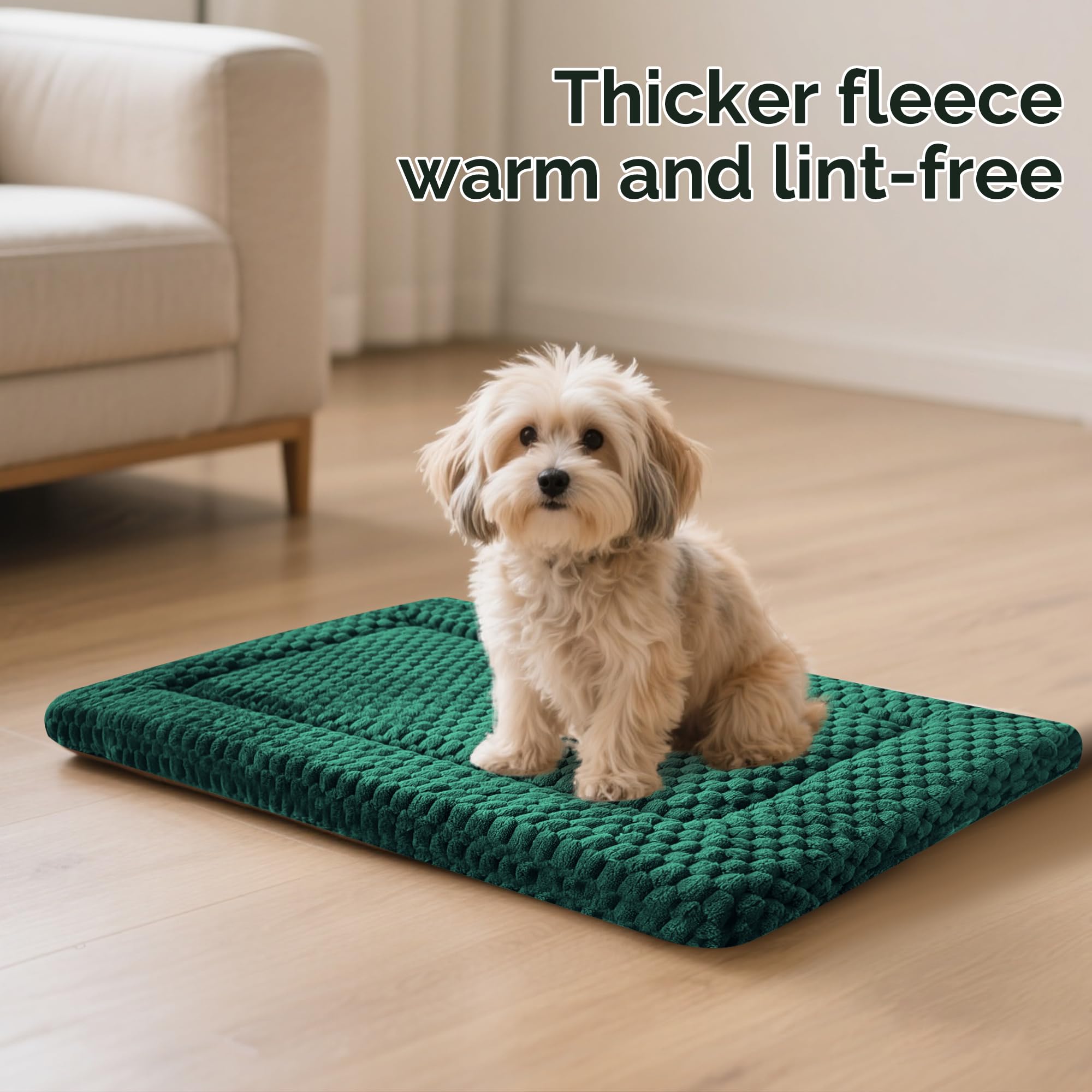 Pobopobo washable crate pad ready for outdoor adventures