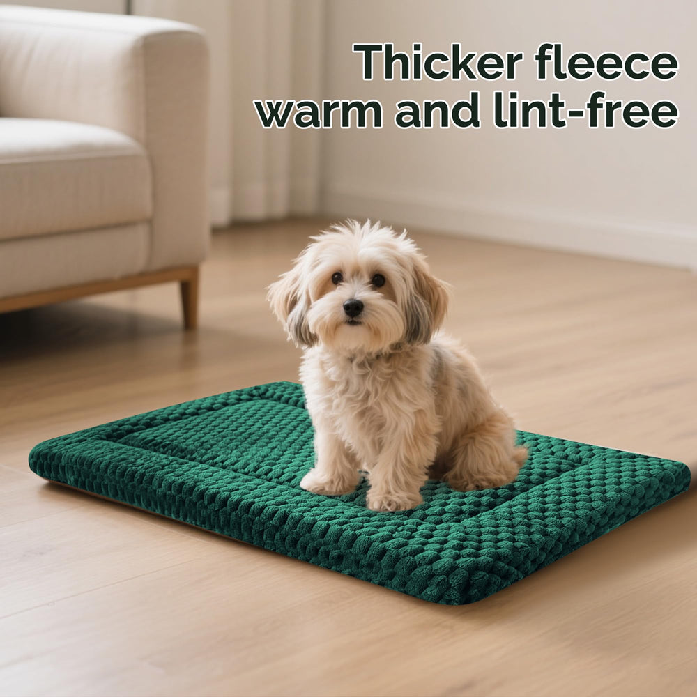 Pobopobo washable crate pad ready for outdoor adventures