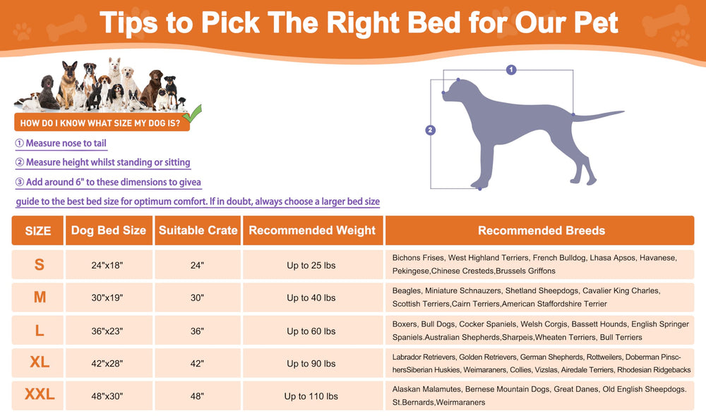 POCBLUE versatile bed suitable for crates and car travels