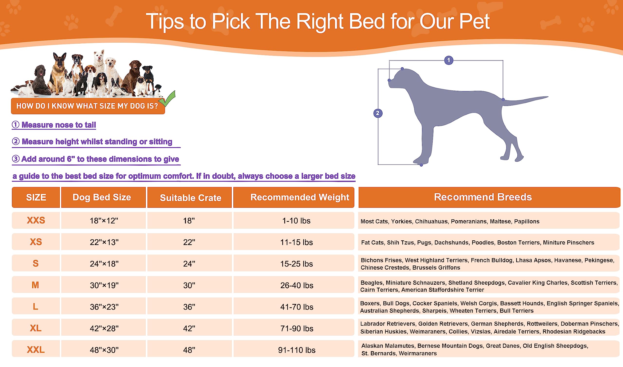 POCBLUE 35x23 bed fits dogs up to 60 lbs