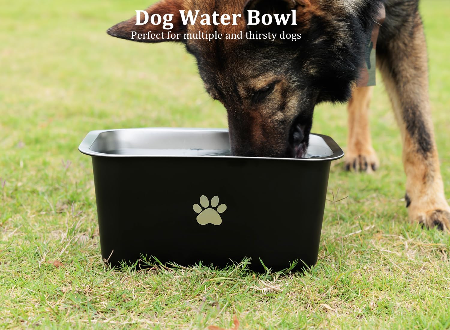 Podinor large-capacity bowl highlighting dishwasher-safe, easy cleaning.