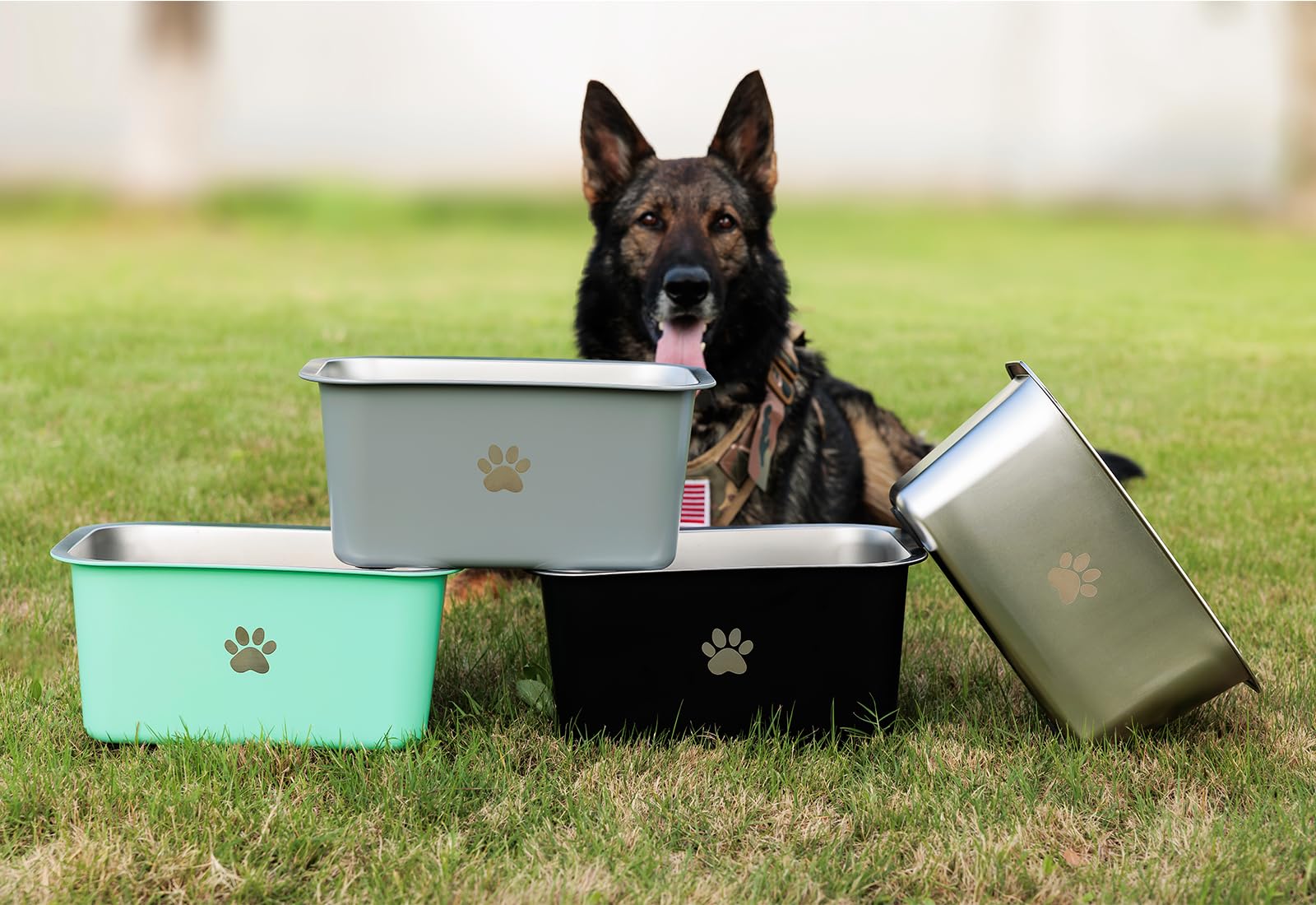 Podinor outdoor stainless steel bowl in use with giant breeds.