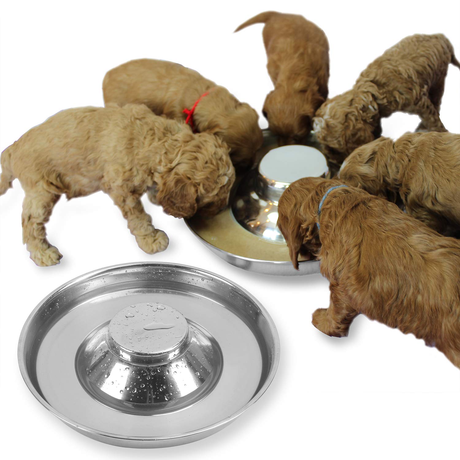 Podinor stainless steel puppy bowls 2-pack offer durable feeding for puppies.