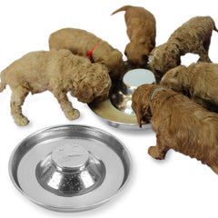 Podinor stainless steel puppy bowls 2-pack offer durable feeding for puppies.