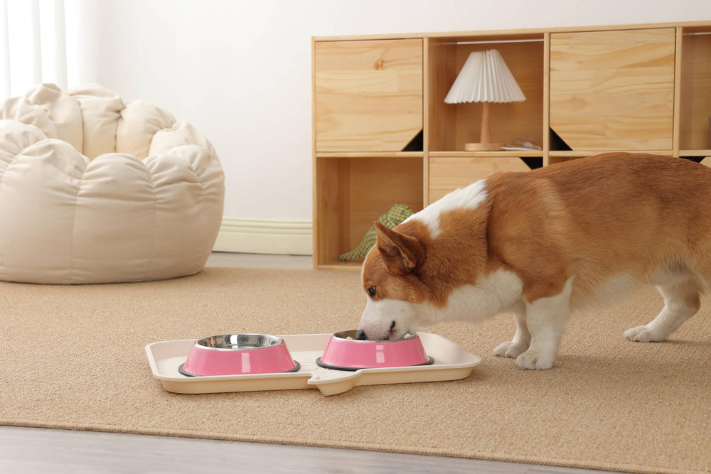 Podinor medium-size bowl suitable for mid-sized dogs.