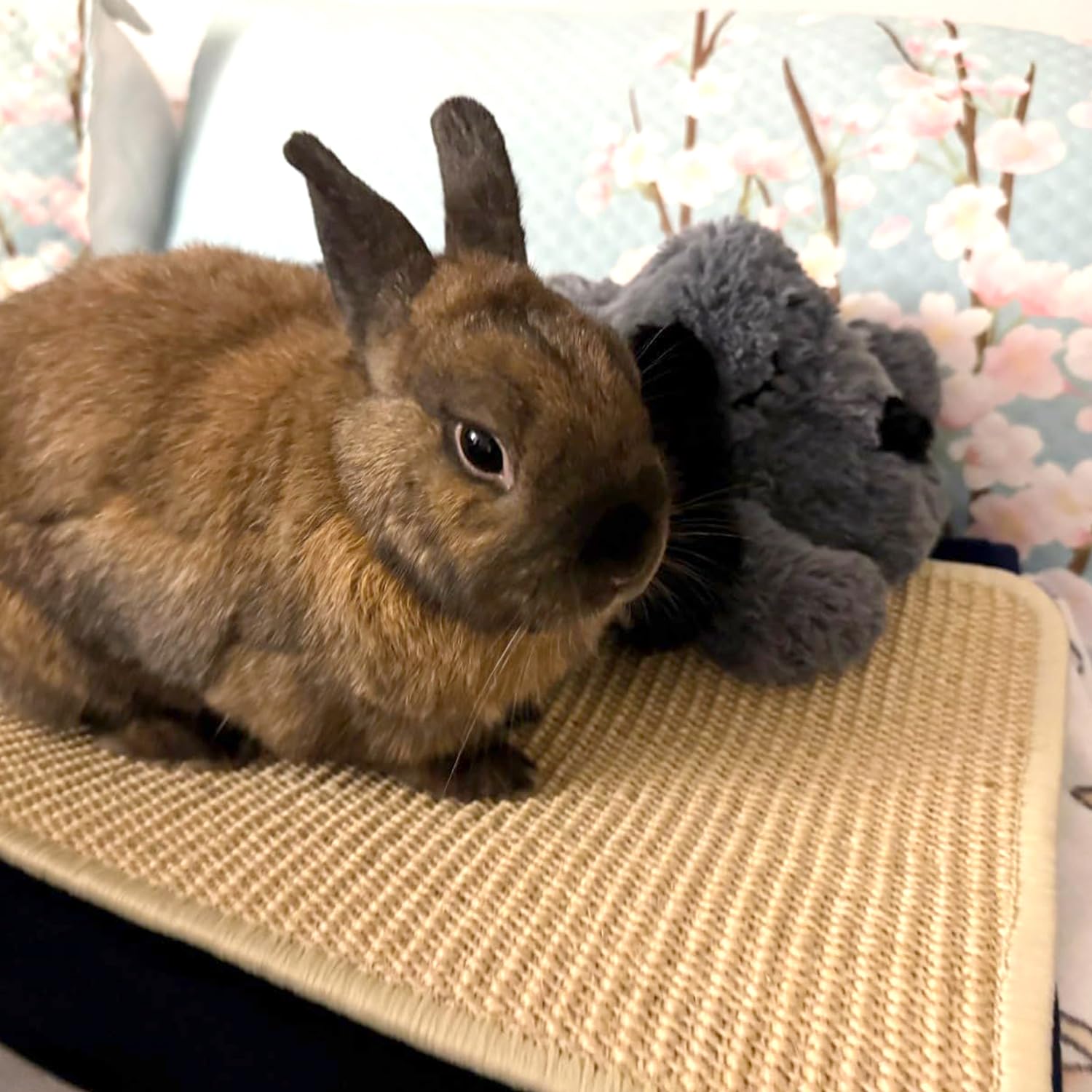 PODOO Bunnies enjoy portable mats easy to hand wash and rotate.