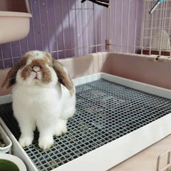 PODOO Rabbit Litter Box smooth edges protecting paws during use