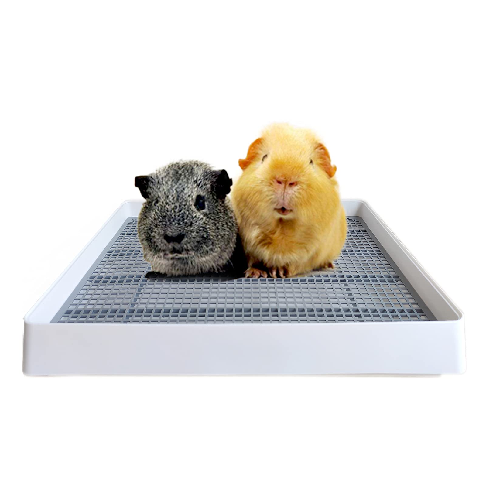PODOO Rabbit Litter Box with grid pan for cleaner waste separation and easier cleaning.