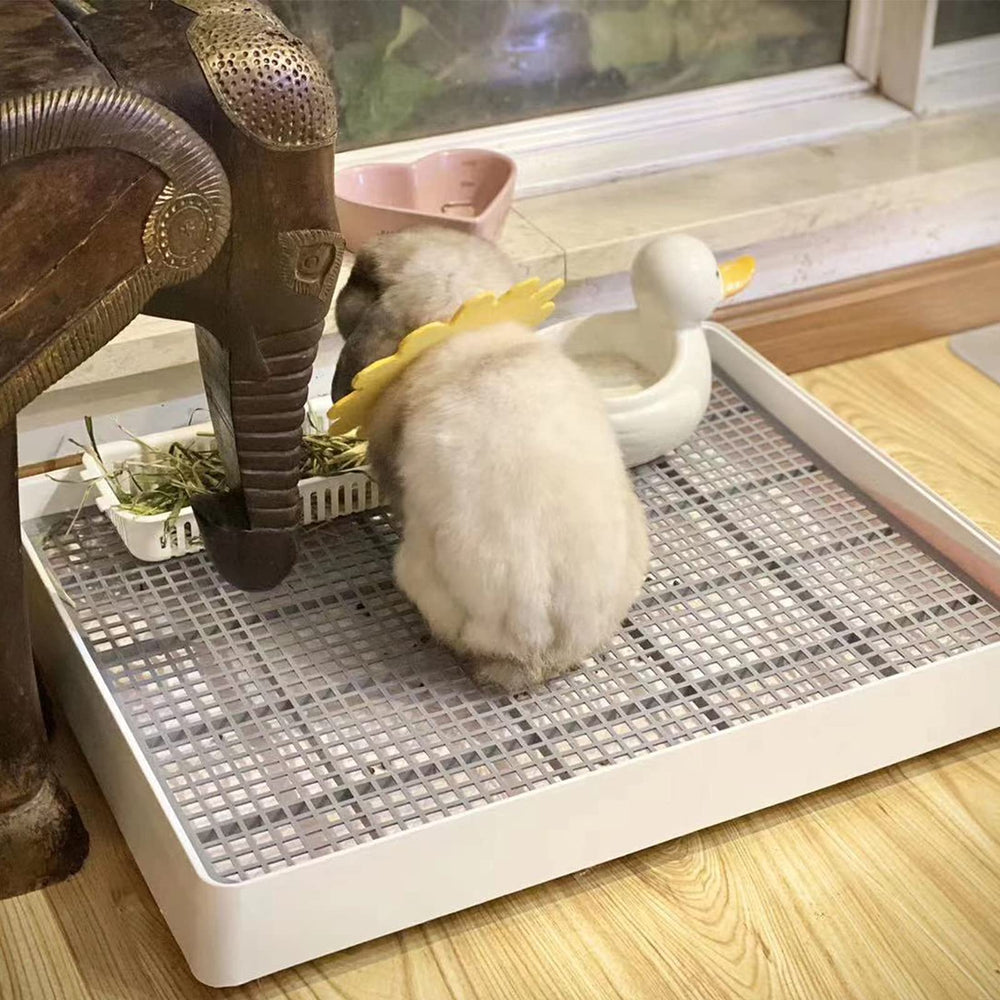 PODOO Small-pets training litter box suits guinea pigs and hamsters.