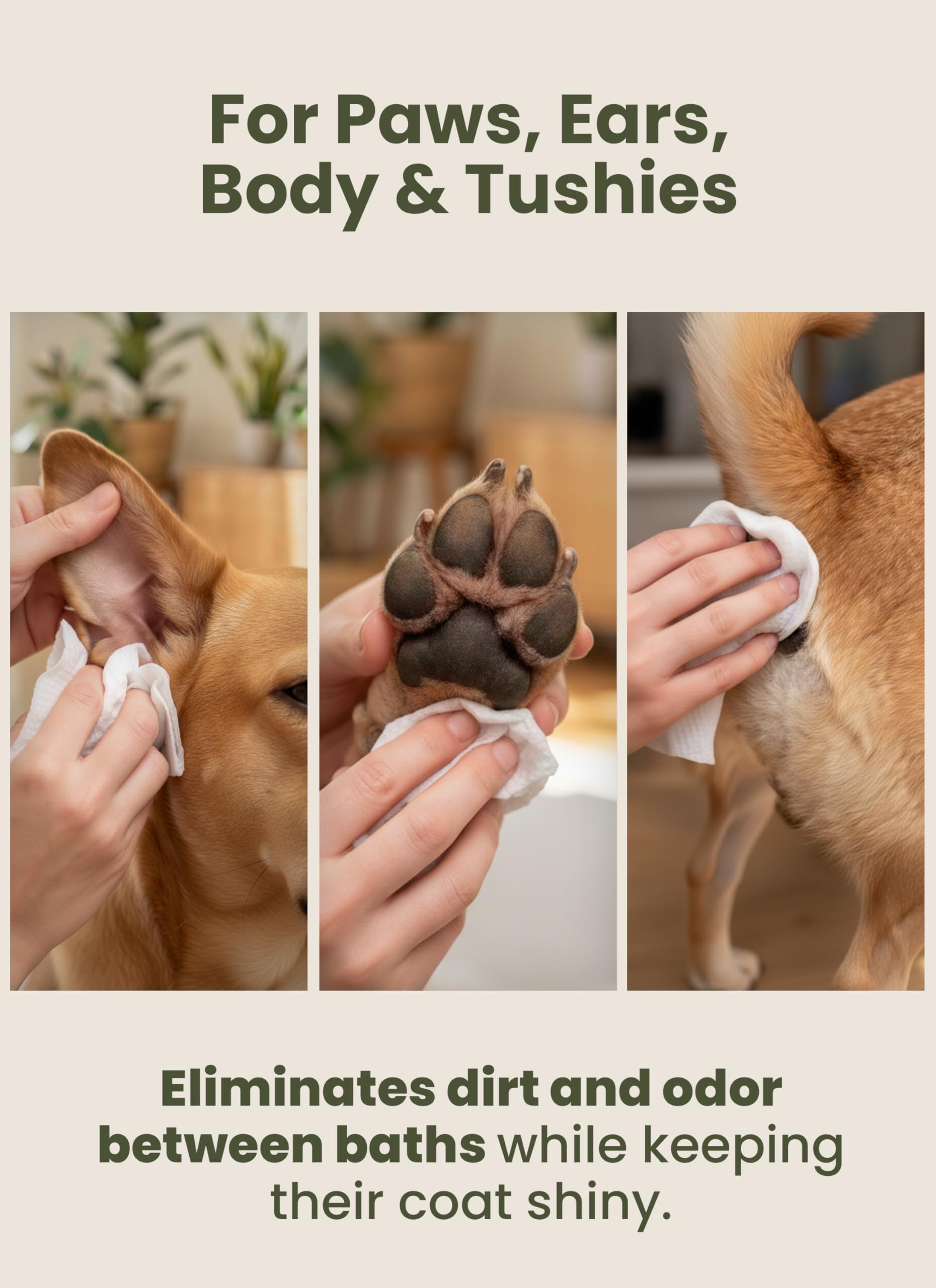 Pogi’s Dog Wipes Travel Pack – Hawaiian Awapuhi for coat softness