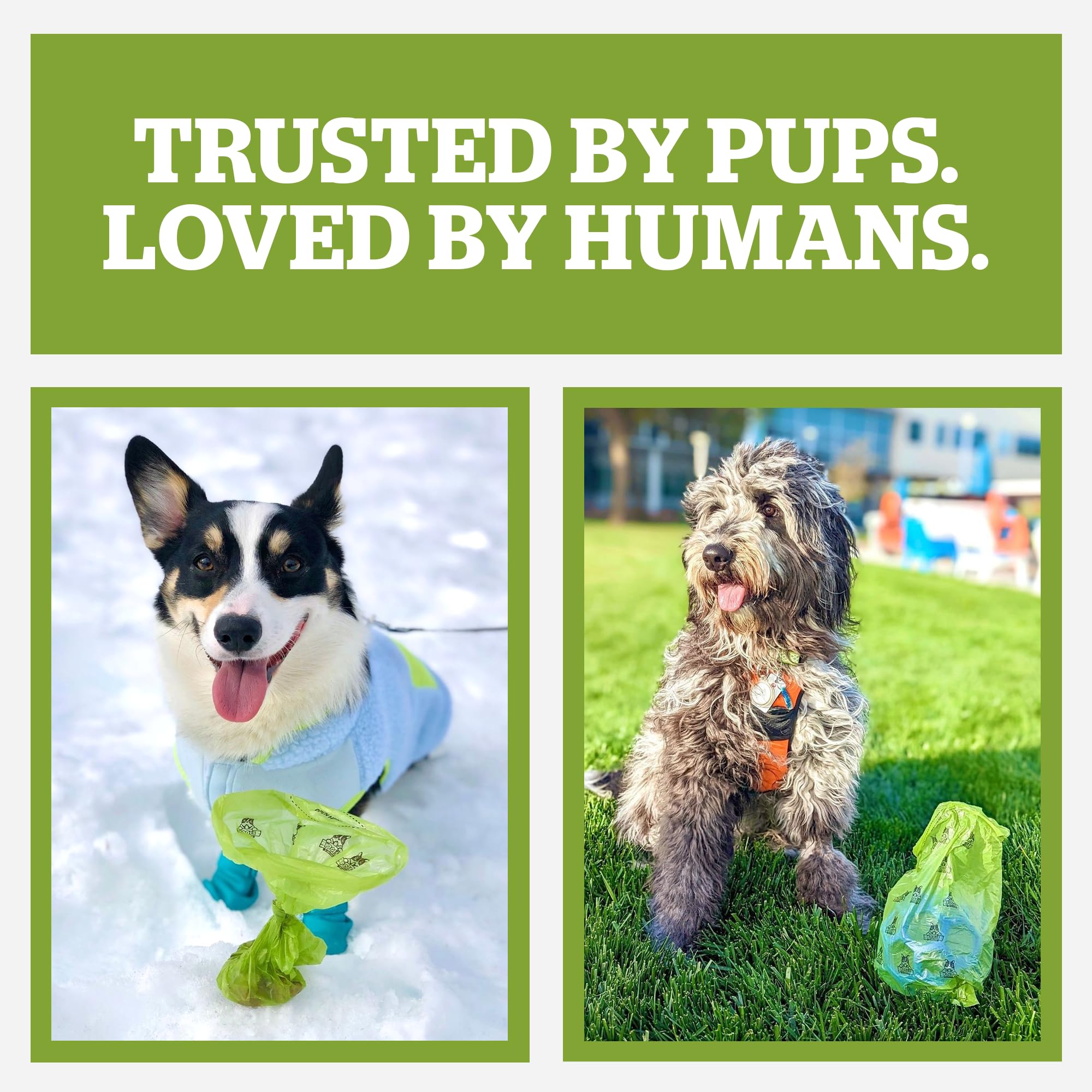 Pogi's compostable bags suit home and yard waste disposal.