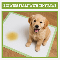 Pogi's honey attractant pad guides dogs to the designated area with gentle scent.