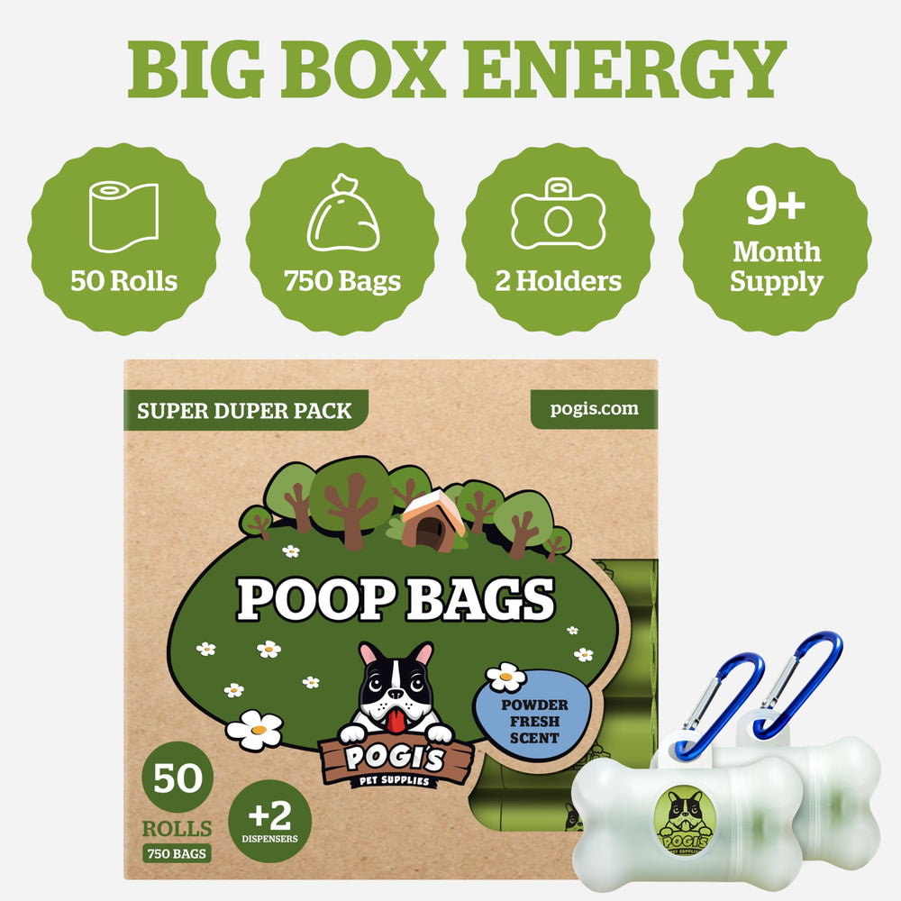 Pogi's poop bag dispenser on leash for on-the-go cleanup.
