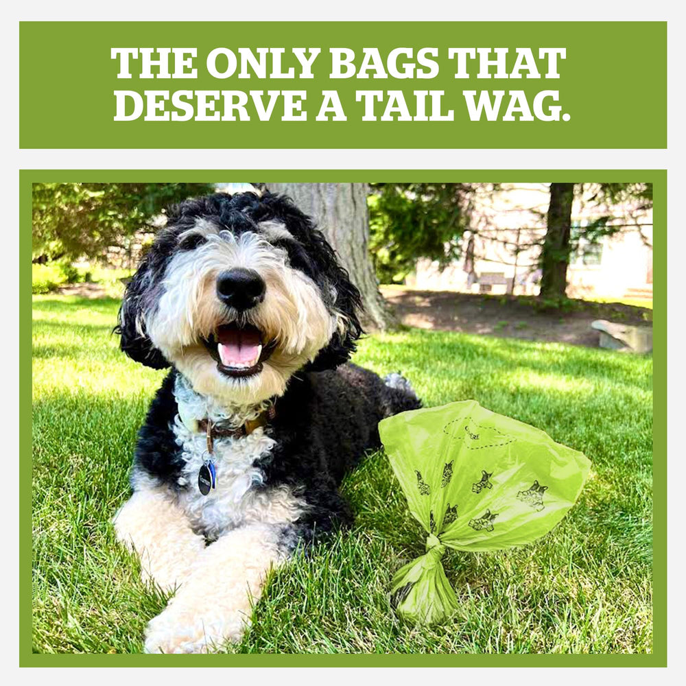 Pogi's Poop Bags dispensing box shown for quick grab and go cleanup