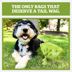 Pogi's Poop Bags in an easy-dispense box for quick cleanup.