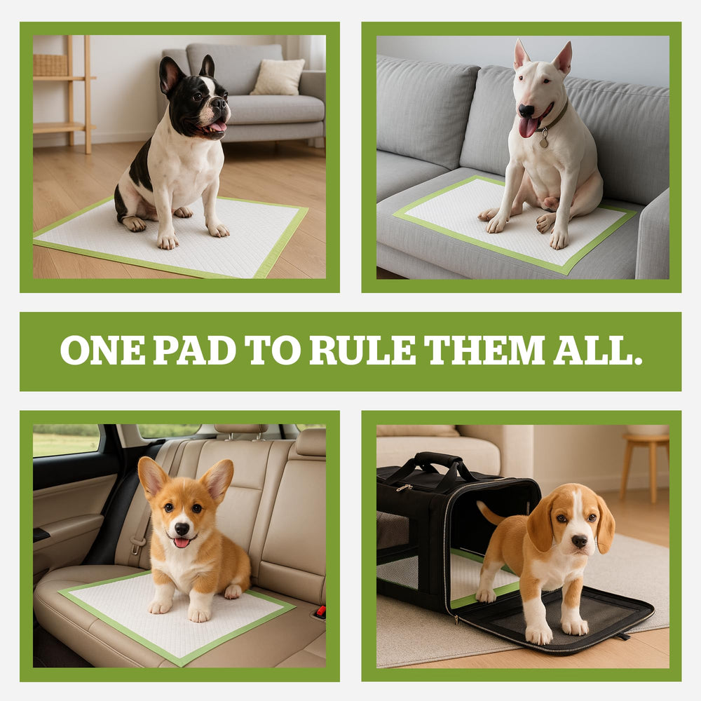 Pogi's Potty Pads XL secure adhesive tabs prevent shifting