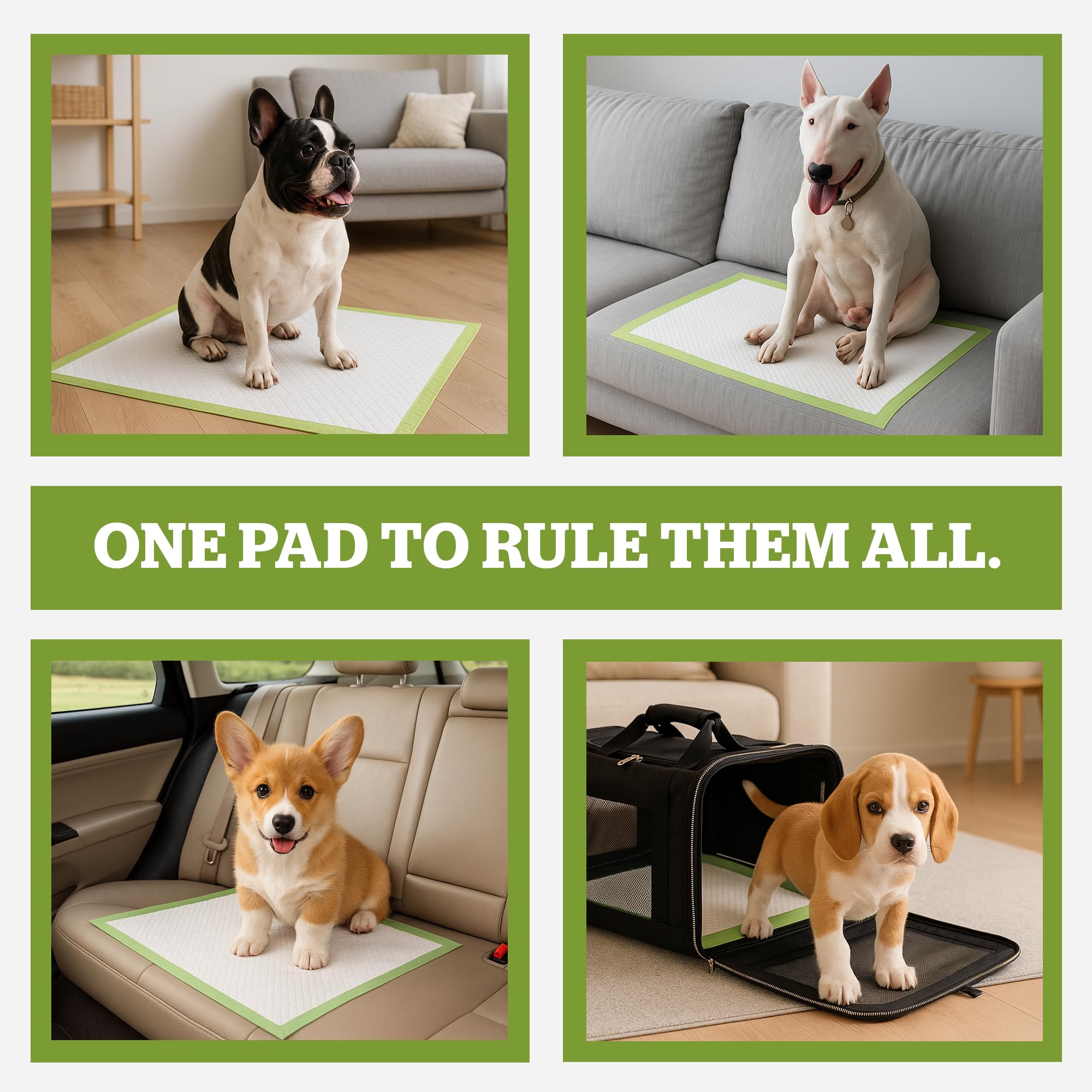 Pogi's odor-blocking design helps keep rooms fresher between changes.