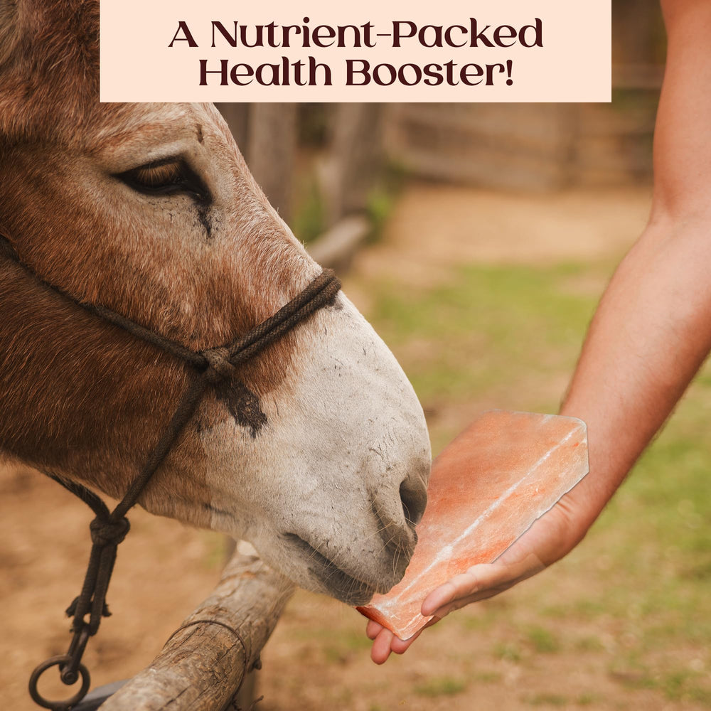 POHS Himalayan salt lick block weighs 5.5 lbs, offering a steady mineral supply.